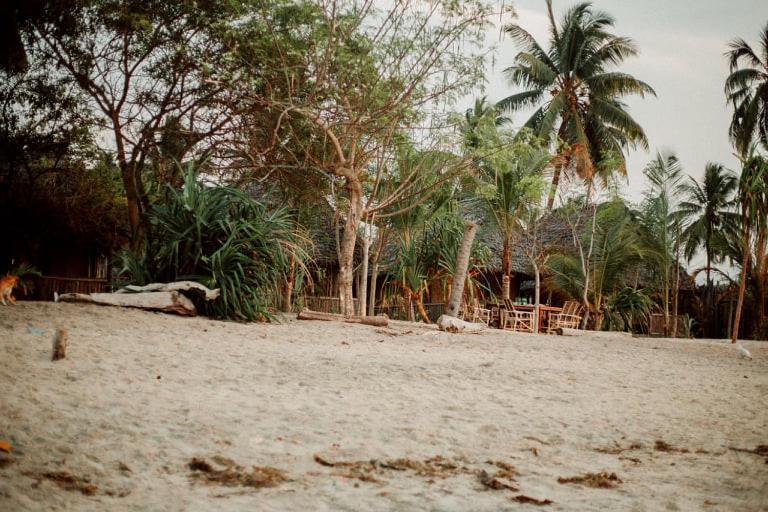 Ushongo Beach Bandas Pangani Экстерьер фото