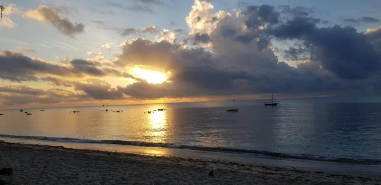 Ushongo Beach Bandas Pangani Экстерьер фото