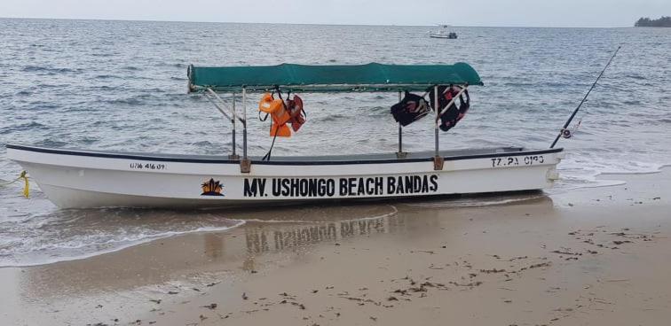 Ushongo Beach Bandas Pangani Экстерьер фото