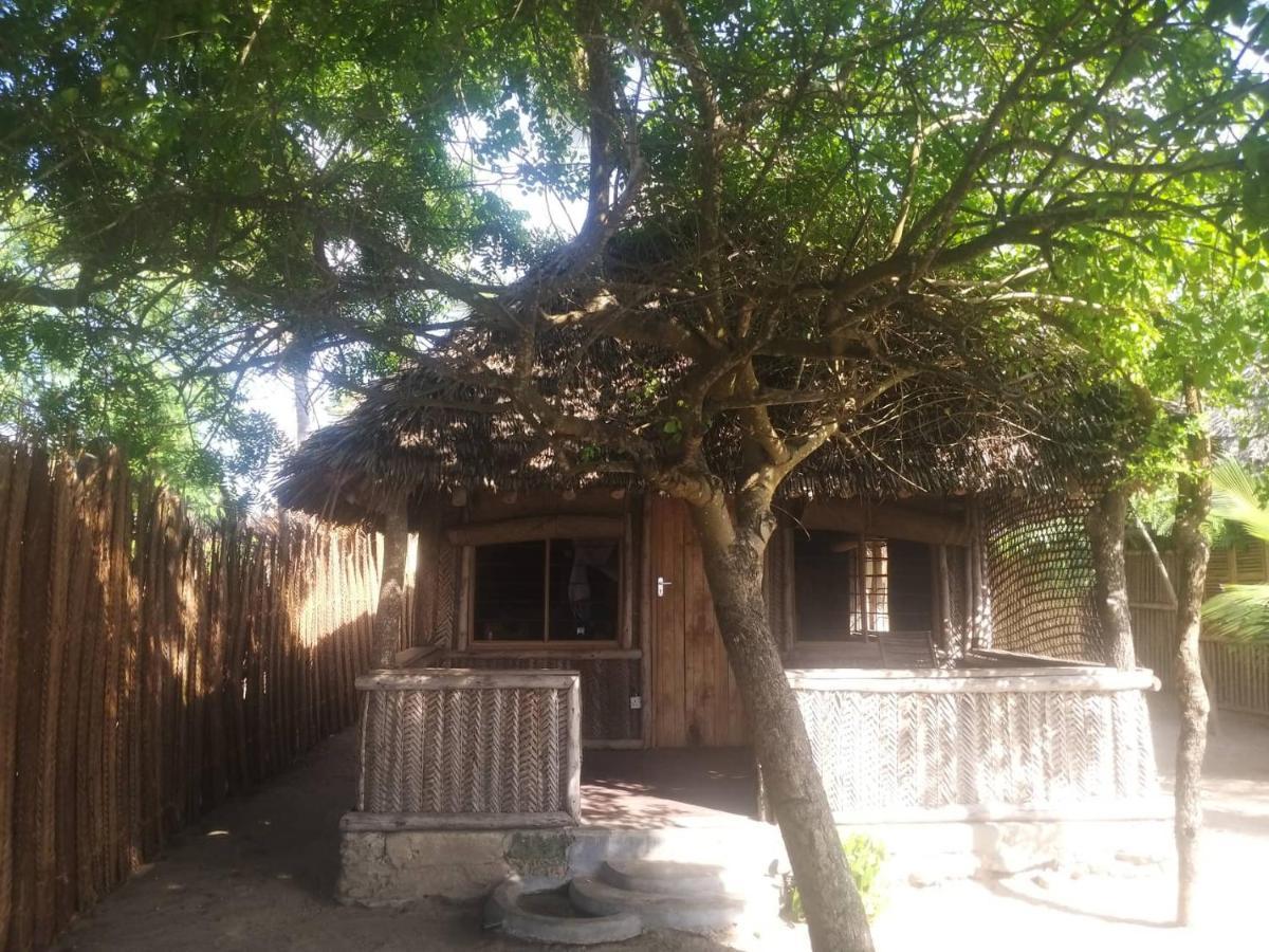 Ushongo Beach Bandas Pangani Экстерьер фото