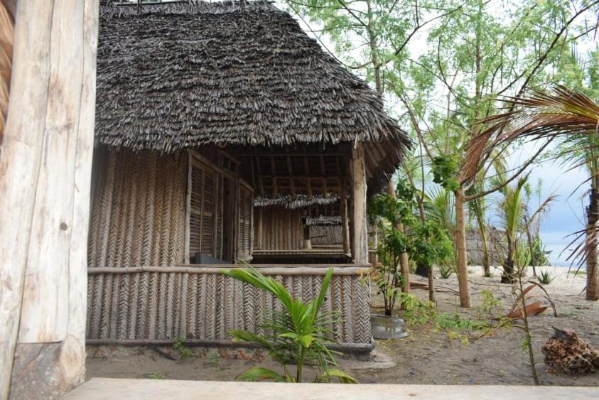 Ushongo Beach Bandas Pangani Экстерьер фото