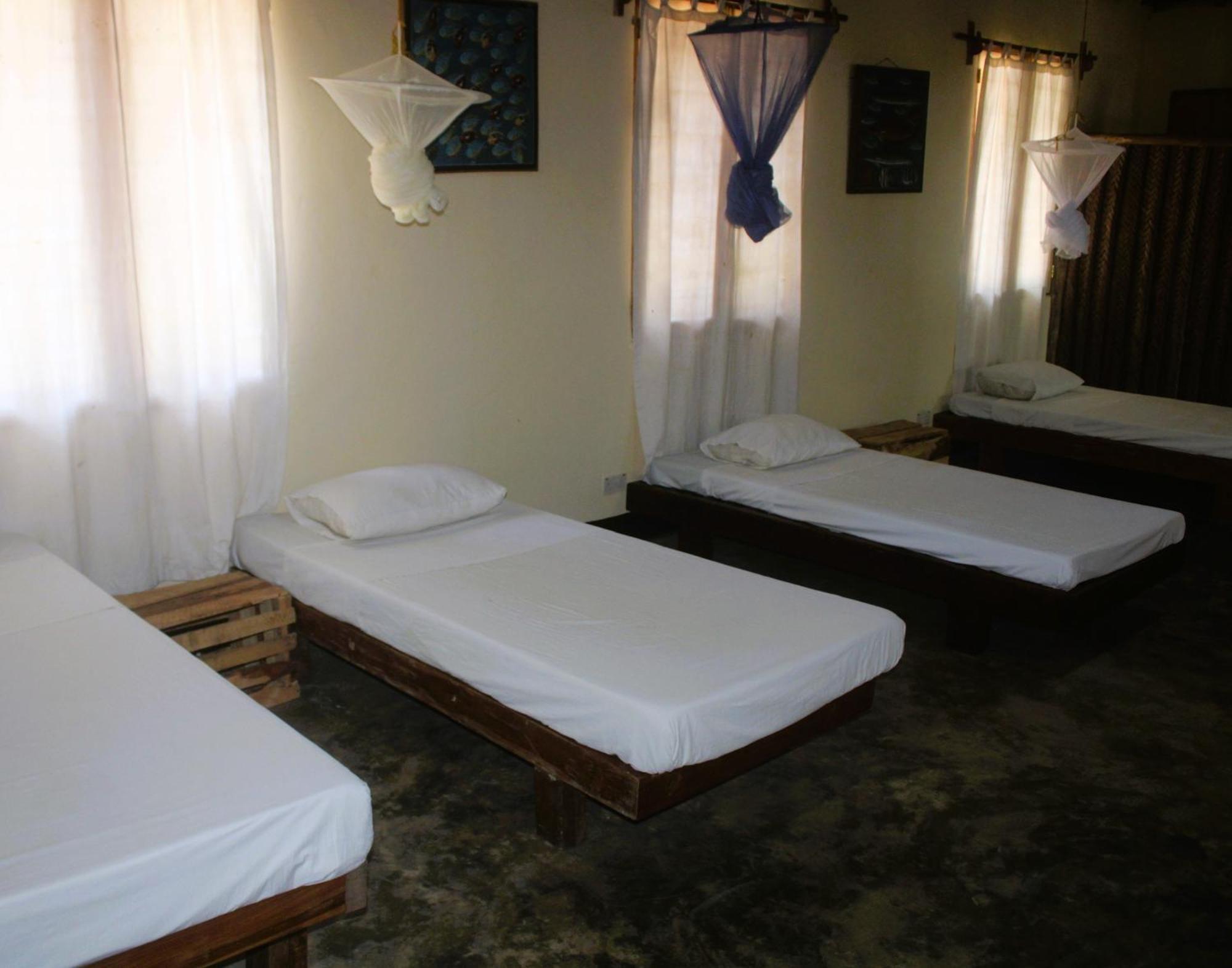 Ushongo Beach Bandas Pangani Экстерьер фото